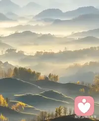 你的心态，就是你生活的滤镜。心态积极的人，并非总是一帆风顺，而是选择保持乐观。他们就像向日葵，本能地面向阳光，这种姿态本身，就会吸引更多美好事物靠近。配图