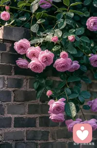 未被表达的情绪永远都不会消失，它们只是被活埋了，有朝一日会以更丑陋的方式爆发出来。配图