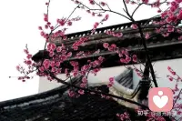 山本无愁，因雪白头；水本无忧，因风起皱。配图