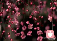 山本无愁，因雪白头；水本无忧，因风起皱。配图