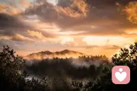 让阳光照亮生命中每个角落配图