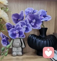 静心，明理配图