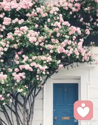 我把细微事物收集起来，好在未来贫瘠的日子里，让过去的微光带给我温暖。——安德烈.艾席蒙《夏日终曲》‬配图