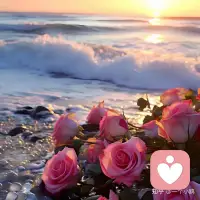 昨日种种，皆为今我，
今日种种，皆为新我，
山高路远，希望你看世界也要找自己。

每个新的一天，
愿你我，只生欢喜，不生忧！配图