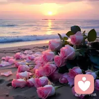 昨日种种，皆为今我，
今日种种，皆为新我，
山高路远，希望你看世界也要找自己。

每个新的一天，
愿你我，只生欢喜，不生忧！配图