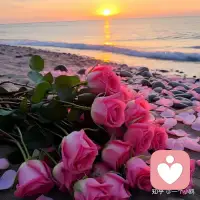 昨日种种，皆为今我，
今日种种，皆为新我，
山高路远，希望你看世界也要找自己。

每个新的一天，
愿你我，只生欢喜，不生忧！配图