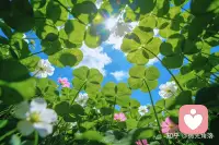 浅浅喜，静静爱，深深懂得，淡淡释怀。配图