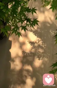 清醒是看清世界的真相，依然热爱生活。
不依附，不取悦，翻脸不如翻篇，生气不如升级。
再烫的水都会凉，别把热情浪费在不值得的人身上。
学会做减法，关系、情绪、欲望皆然。干净的圈子，才养得出高级的灵魂。
放下不是认输，是懂得选择；远离不是冷漠，是学会尊重自己。配图