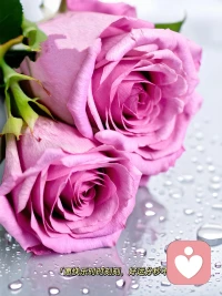 心，就是人生的最高配。
善良要有锋芒，温柔要带底线，别让任何人轻易耗尽你的能量。
不必向谁解释你的生活，你的路，只要自己走得坚定就够了。
在平淡的日子里闪闪发光，在热闹的人群中依然清醒。
保持独立，保持温柔，余生不长，活得漂亮一点。配图