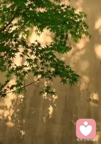 古话说：“世上无难事，庸人自扰之。”有情绪是本能，能控制情绪才是本事。拥有管理情绪的能力，才能拥有更美好的人生。配图