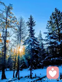 我们的未来掌握在我们自己手中，我们的人生也经由自己去塑造。培养深度思考的能力，打造核心竞争力，一个人的人生道路才会越走越宽阔。配图