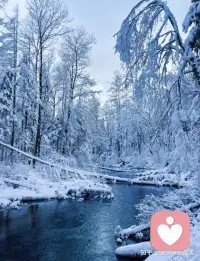 我借着你的光，看到了更好的世界，也借着喜欢你，让自己成为更好的自己。配图