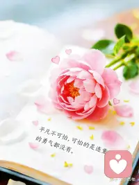 找不到答案时，就先把脚下的路走扎实！配图