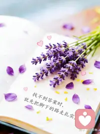 找不到答案时，就先把脚下的路走扎实！配图