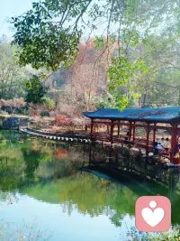 人生处在最低谷的好处是，无论朝哪个方向努力，都是向上，如果你今天不努力，明天也不努力，那么你的人生只是在重复而已。你要坚信每天叫醒你的不是闹钟，而是心中的梦想，新的一天开始了，你唯一应该努力去超越的人，是昨天的自己。配图