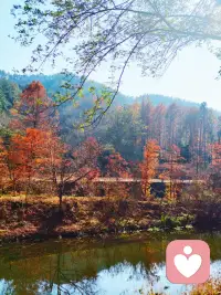 人生处在最低谷的好处是，无论朝哪个方向努力，都是向上，如果你今天不努力，明天也不努力，那么你的人生只是在重复而已。你要坚信每天叫醒你的不是闹钟，而是心中的梦想，新的一天开始了，你唯一应该努力去超越的人，是昨天的自己。配图