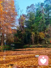 人生处在最低谷的好处是，无论朝哪个方向努力，都是向上，如果你今天不努力，明天也不努力，那么你的人生只是在重复而已。你要坚信每天叫醒你的不是闹钟，而是心中的梦想，新的一天开始了，你唯一应该努力去超越的人，是昨天的自己。配图