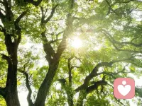 心无旁骛，只顾向前行：生活总有纷扰琐事缠身，不必理会那些无关的杂音，不听、不看、不问，坚定地朝着自己的目标只顾向前行，前路自有风景。配图