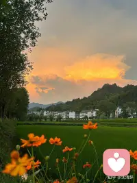 岁末大寒至，年味渐浓时，人间至此冬色尽，静待春暖花开来 。配图