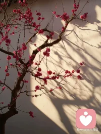 引路靠贵人，走路靠自己。一个人最大的底气和勇气是努力和不在乎，不要管别人，你只管努力，剩下的交给时间。配图