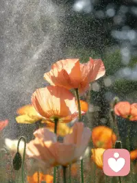 三观正，多赚钱，少说话，向前走，不回头，如事与愿违，上天一定另有安排，或早或晚，失去的一定会另一种方式归来。配图