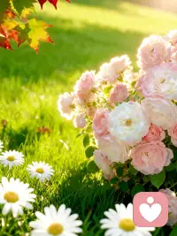 三观正，多赚钱，少说话，向前走，不回头，如事与愿违，上天一定另有安排，或早或晚，失去的一定会另一种方式归来。配图