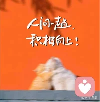 人间一趟，积极向上！配图