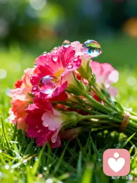 人生最好的状态，是每天醒来，面朝阳光，嘴角上扬。不必行色匆匆，不必光芒四射，不必成为别人，只需做你自己，活成自己想要的模样！配图