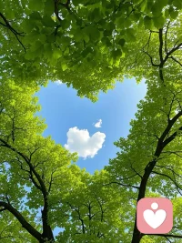 蓝天，白云，绿树，好风景！配图