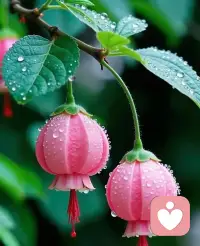 别惧生命的寒冬，凛冽中藏着成长的密码。能拯救自己的永远是主动前行的勇气，人生本就布满荆棘，蛰伏期的积累，是为了厚积薄发。哪怕仅有一丝希望之光，也要奋力捕捉，淬炼出破茧重生的魄力。配图