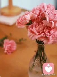 哪有那么多的天赋异禀，那些优秀的人都曾和你一样，默默地翻山越岭。 很久之后回头再看，你终会发现，所有成功都没有捷径，惟有坚持努力，才有赢的可能。配图