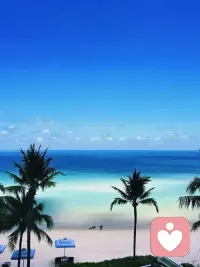 活得糊涂的人，容易幸福；活得清醒的人，容易烦恼。