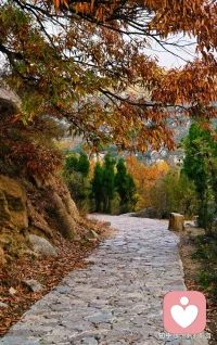 只要心怀热爱，步履不停，纵使前路漫漫，也终将抵达想去的远方。