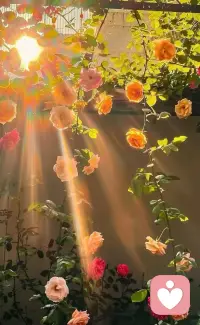 好风景能治愈内心的烦乱！配图