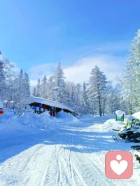 “独立和不怕失去，是一个人最好的底牌。”配图