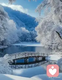 “独立和不怕失去，是一个人最好的底牌。”配图