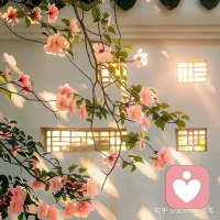 “喜欢小众的东西，就不要介意大众的眼光。“配图