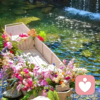 “喜欢小众的东西，就不要介意大众的眼光。“配图