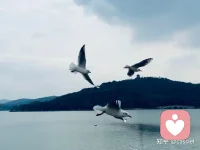 如果命运是世上最烂的编剧，那么你就要争取，做人生最好的演员。配图