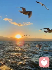 如果命运是世上最烂的编剧，那么你就要争取，做人生最好的演员。配图