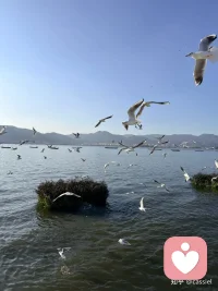 如果命运是世上最烂的编剧，那么你就要争取，做人生最好的演员。配图