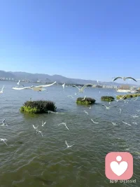 如果命运是世上最烂的编剧，那么你就要争取，做人生最好的演员。配图