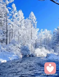 1%看似微不足道，但365天后，它就是37倍的跃迁（1.01³⁶⁵ ≈ 37.78）。
向下扎根，向上开花，不负生活，不负自己。配图