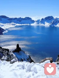 1%看似微不足道，但365天后，它就是37倍的跃迁（1.01³⁶⁵ ≈ 37.78）。
向下扎根，向上开花，不负生活，不负自己。配图