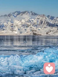 1%看似微不足道，但365天后，它就是37倍的跃迁（1.01³⁶⁵ ≈ 37.78）。
向下扎根，向上开花，不负生活，不负自己。配图