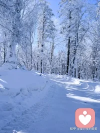 1%看似微不足道，但365天后，它就是37倍的跃迁（1.01³⁶⁵ ≈ 37.78）。
向下扎根，向上开花，不负生活，不负自己。配图