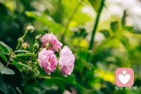 人生如舟，负载过多，难免颠簸起伏；放松精神，张弛有度，会帮你找到内心的平衡。愿你拥有适当的松弛感，不急不慢，活出想要的样子。配图