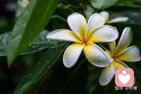 在谷底也要开花，在海底也要望月。配图