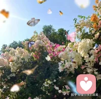 没有人生来就出众，不过是日复一日地努力，一寸一寸地坚持。一个人最好的模样，大抵是：不指望谁遮风挡雨，不羡慕谁风光无限，不小看谁的平凡，不嘲笑谁的执着，不依赖谁的搀扶——既有开口说“要”的果敢，也有坦然说“不”的底气。配图