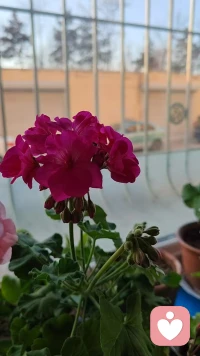 内耗和迷茫的解药不在于找到一个终点式的答案，而在于通过持续的体验，让自己成为一个有能力在变化中不断调整方向的人。配图